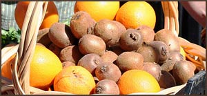 Offerte speciali